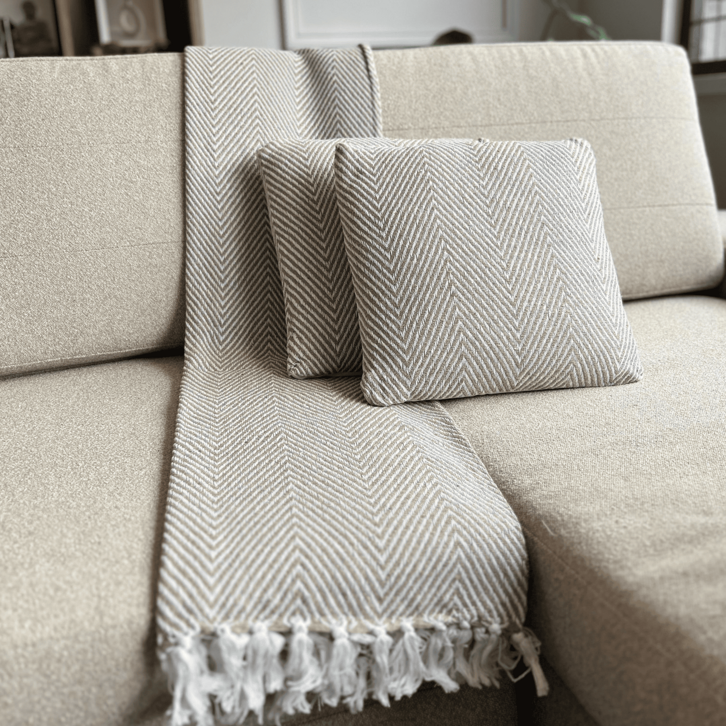 Set de Manta y 2 Cojines de Algodón Tejida a Mano 